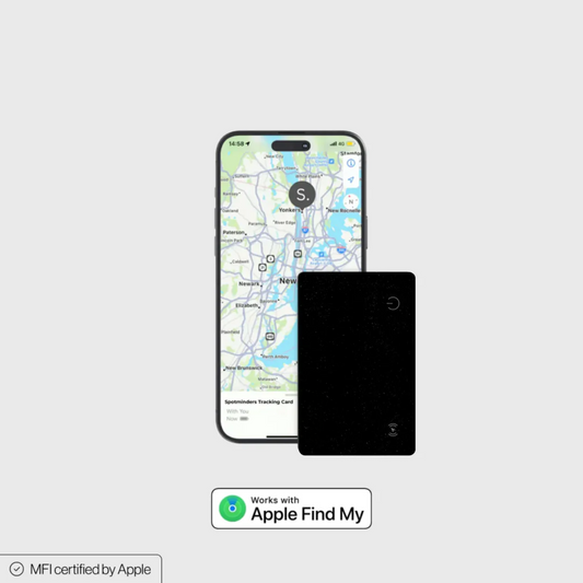 Personal belongings anti-lost device