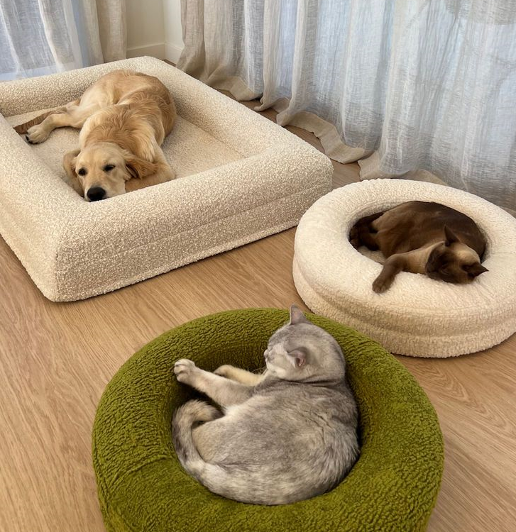 Pet Supplies