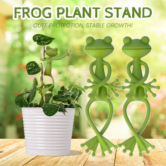 Frog Plant Holder