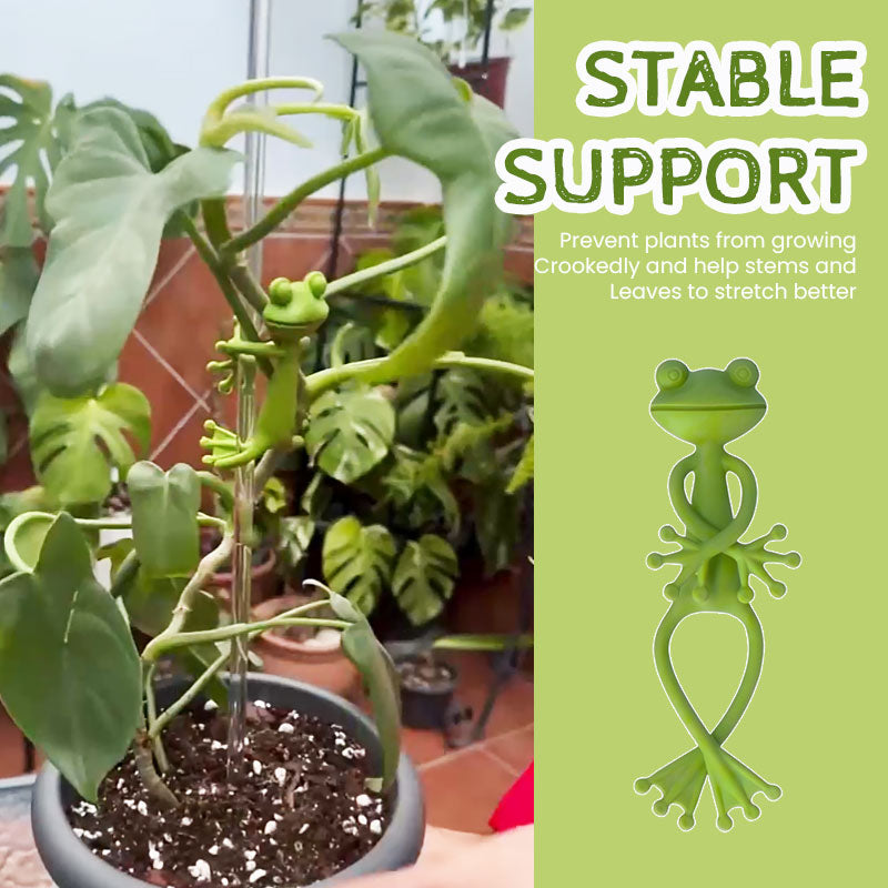 Frog Plant Holder