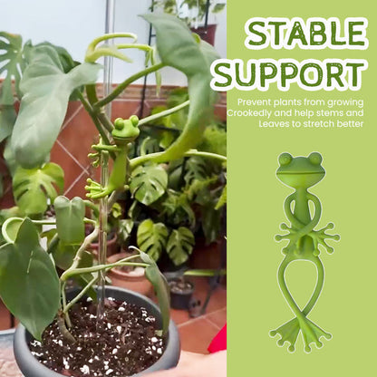 Frog Plant Holder