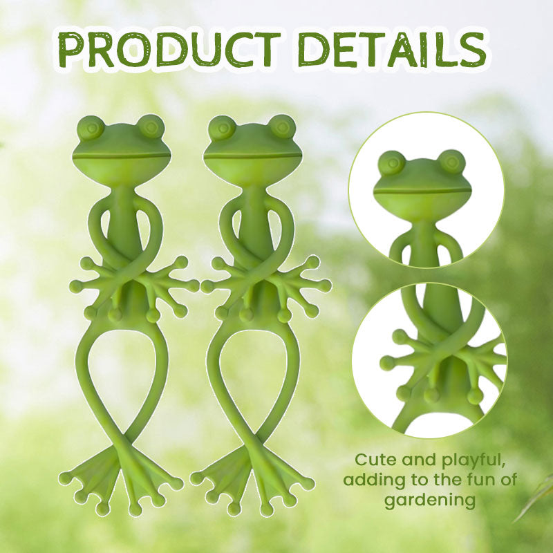 Frog Plant Holder