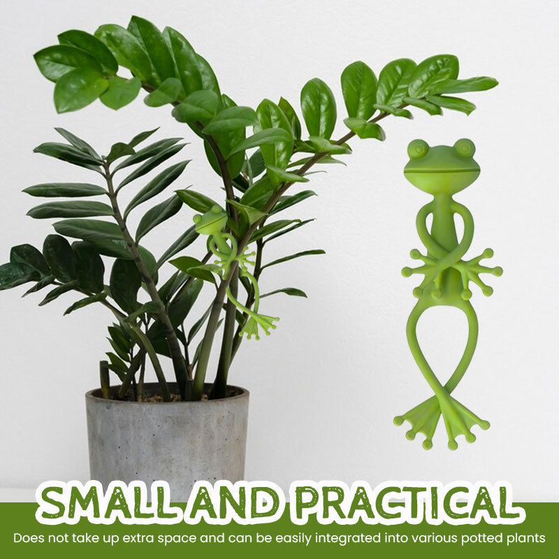 Frog Plant Holder