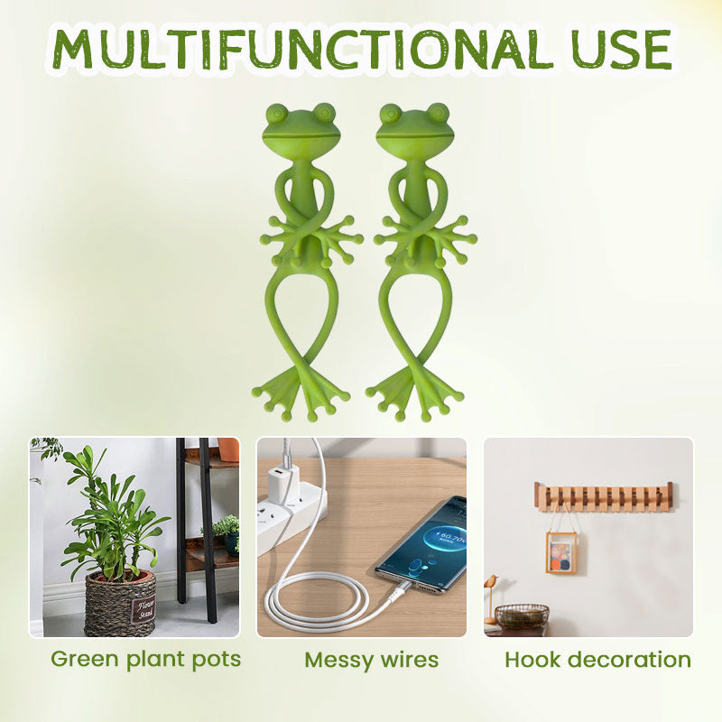 Frog Plant Holder