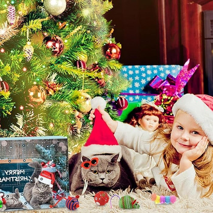 🐱2025 Christmas Countdown Cat Toys Advent Calendar