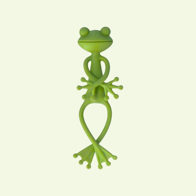 Frog Plant Holder